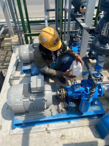 Untitled design (31)